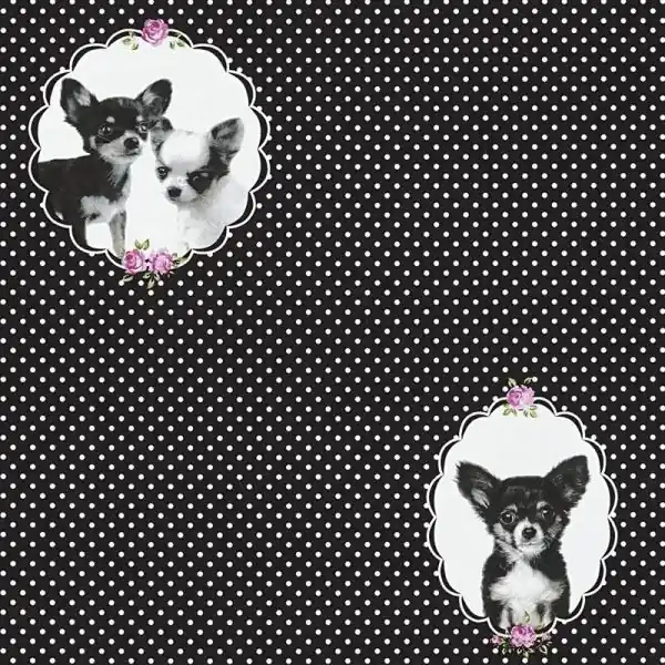 Carta da parati 358512 Little Stars AS-Creation Merkproduct