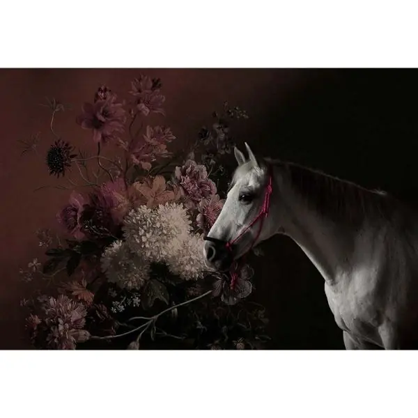Snelle Levering Carta da parati DD110641 Walls by Patel Horses
