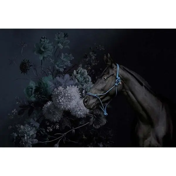 Op = Op Carta da parati DD110646 Walls by Patel Horses