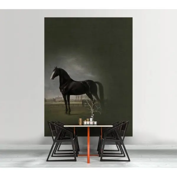 Express Levering Carta da parati DD110666 Walls by Patel Fresco