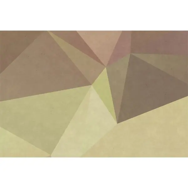 Gecertificeerd Carta da parati DD110936 Walls by Patel Polygonal