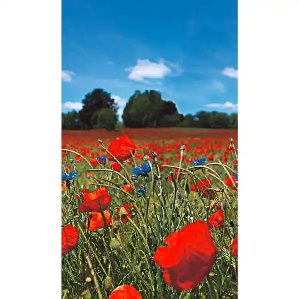 Direct Verzonden Carta da parati 47273 Smart Art Easy Marburg