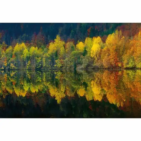 Superprijs Carta da parati DD118913 Designwalls 2.0 livingwalls