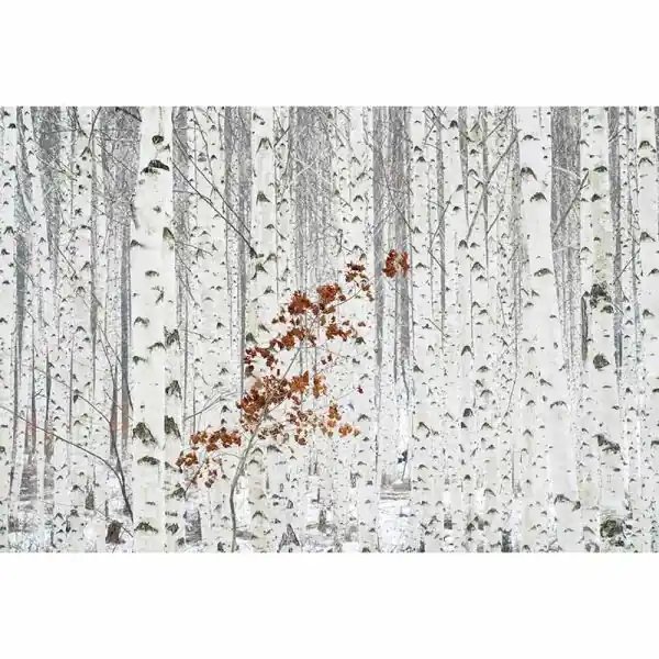 Korting Carta da parati DD118937 Designwalls 2.0 livingwalls