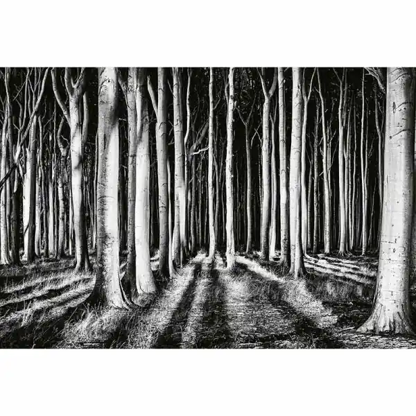 Nu Kopen Carta da parati DD118939 Designwalls 2.0 livingwalls