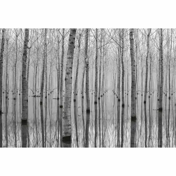 Must-Have Carta da parati DD118946 Designwalls 2.0 livingwalls