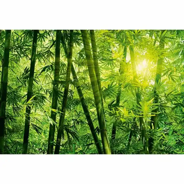 Carta da parati DD118986 Designwalls 2.0 livingwalls Gratis Retour