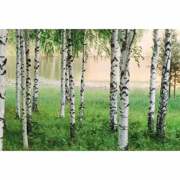Direct Beschikbaar Carta da parati DD119007 Designwalls 2.0 livingwalls