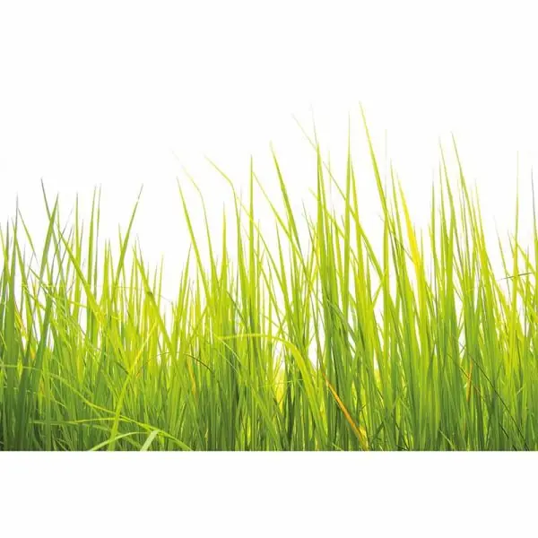 Carta da parati DD119027 Designwalls 2.0 livingwalls Snelle Levering