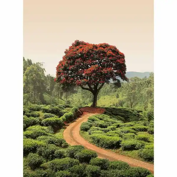 Carta da parati DD119062 Designwalls 2.0 livingwalls Rechtstreeks Van De Fabrikant