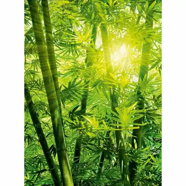 Alleen Vandaag Carta da parati DD119095 Designwalls 2.0 livingwalls