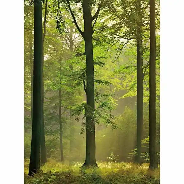Carta da parati DD119109 Designwalls 2.0 livingwalls Bestel Nu