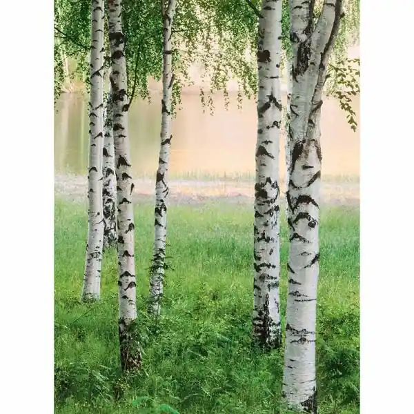 Carta da parati DD119114 Designwalls 2.0 livingwalls Hete Deal