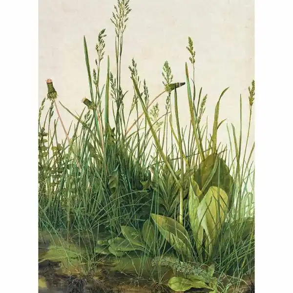 Carta da parati DD119161 Designwalls 2.0 livingwalls Beperkte Voorraad
