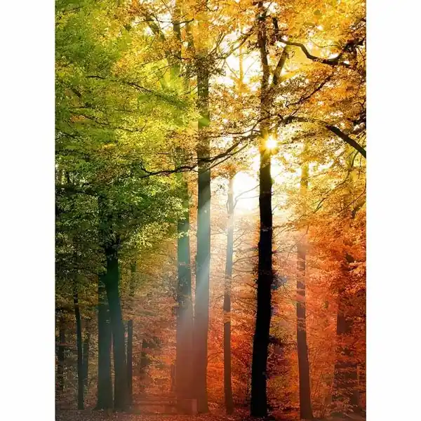 Aanbieding Carta da parati DD119172 Designwalls 2.0 livingwalls