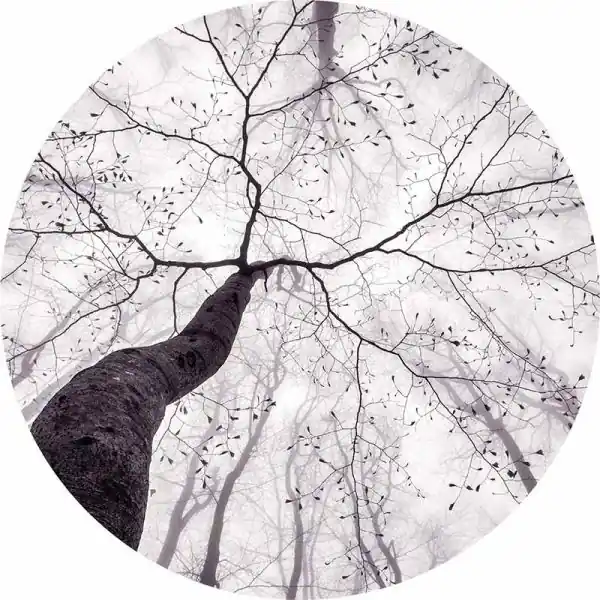 Koop Online Carta da parati DD119182 Designwalls 2.0 livingwalls