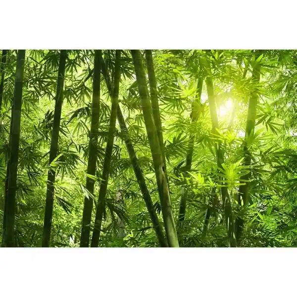 Hoge Kwaliteit Carta da parati DD115004 XXL Wallpaper 5 livingwalls