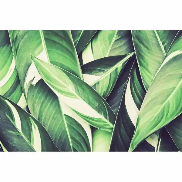 Carta da parati DD115615 XXL Wallpaper 5 livingwalls Lage Kosten