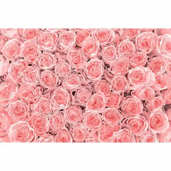 Gecertificeerd Carta da parati DD115088 XXL Wallpaper 5 livingwalls