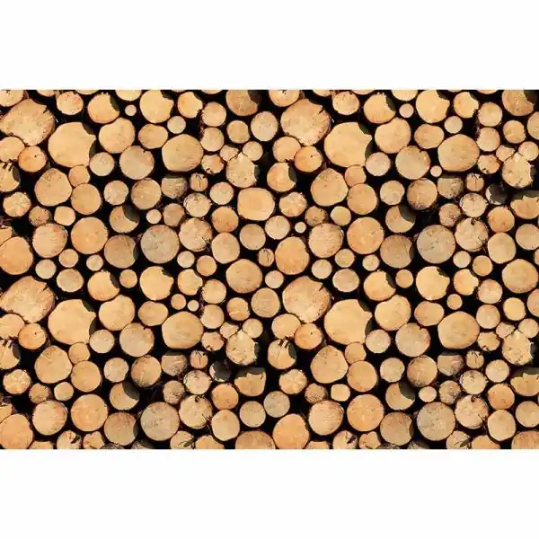 Direct Verzonden Carta da parati DD115664 XXL Wallpaper 5 livingwalls