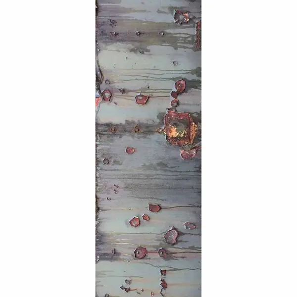 Betrouwbaar Carta da parati DD116094 XXL Wallpaper 5 livingwalls