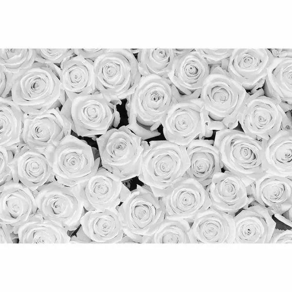 Carta da parati DD115108 XXL Wallpaper 5 livingwalls Express Levering