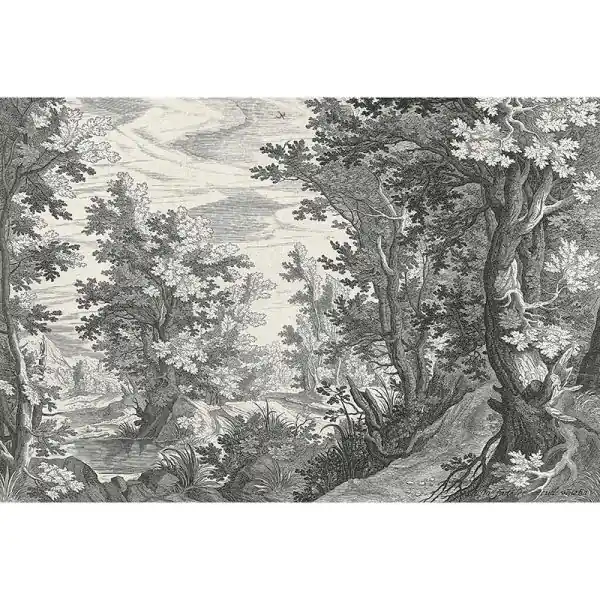 Carta da parati DD121884 Walls by Patel 3 fancy forest 3 Koop Online