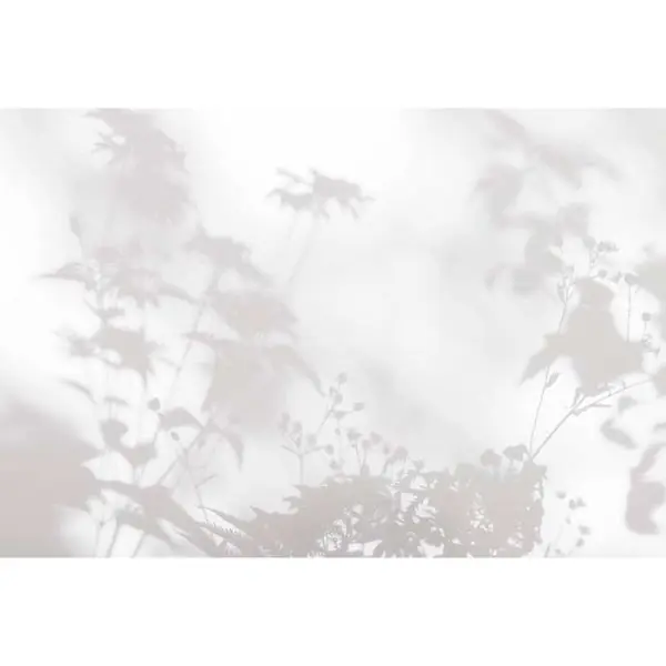 Carta da parati DD122020 Walls by Patel 3 shadow room 2 Lage Kosten