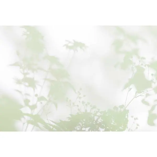 Nieuw Carta da parati DD122024 Walls by Patel 3 shadow room 3