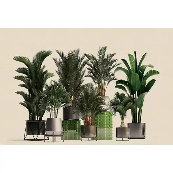 Carta da parati DD122084 Walls by Patel 3 plant shop 1 Voordeelprijs