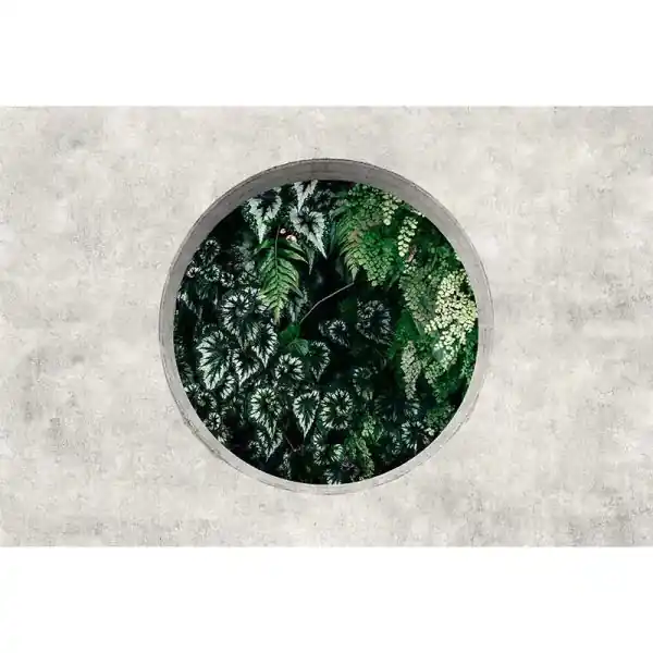 Uitverkoop Carta da parati DD122092 Walls by Patel 3 deep green 1