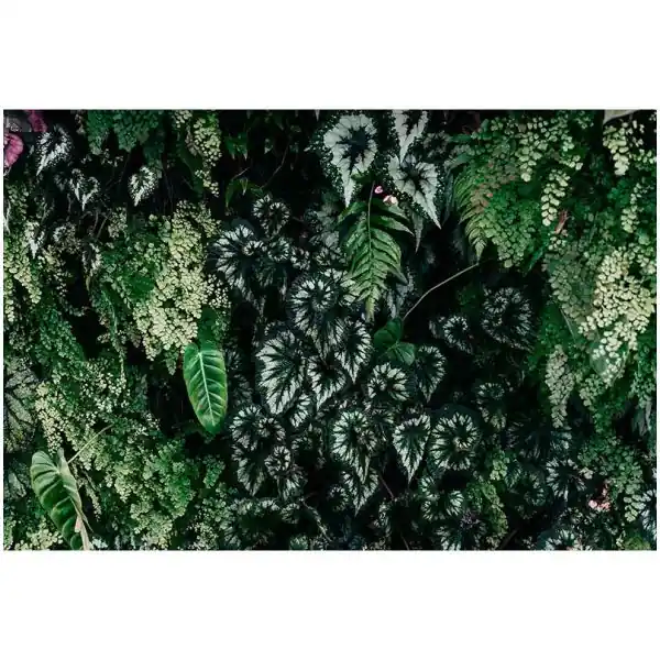 Hete Deal Carta da parati DD122096 Walls by Patel 3 deep green 2