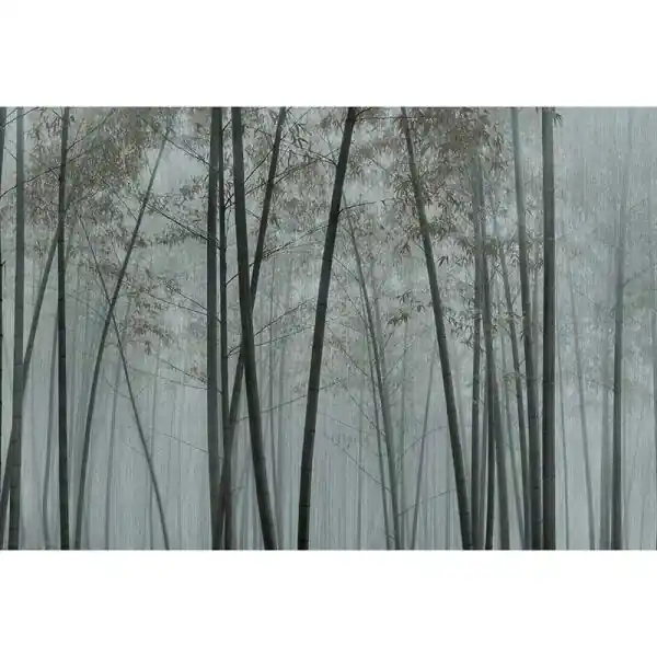 Carta da parati DD122100 Walls by Patel 3 in the bamboo 1 Shop Nu