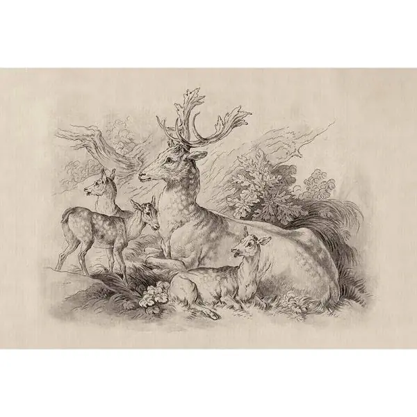 Koop Vandaag Carta da parati DD122380 Walls by Patel 3 on the grass 1