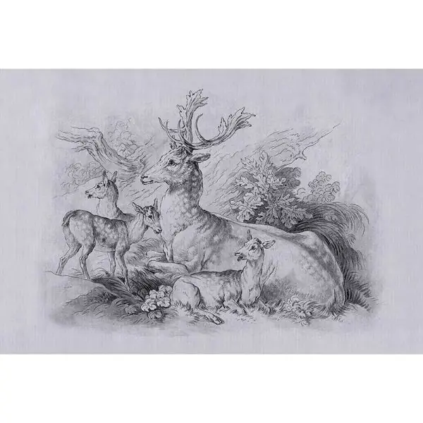 Koop Vandaag Carta da parati DD122384 Walls by Patel 3 on the grass 2