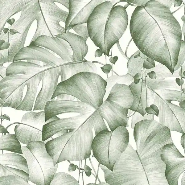 Carta da parati 384821 Sale Carta da parati giungla monstera foglie viticci verde bianco Speciale Aanbieding
