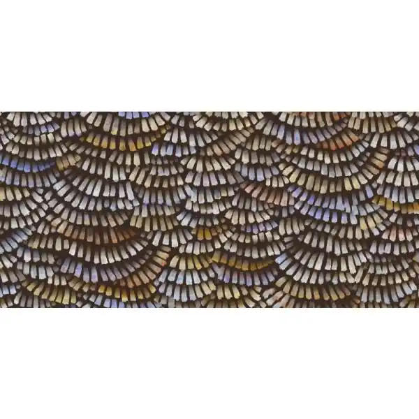 Carta da parati MO4021 Moooi Memento Arte Flitsaanbieding