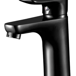 Rubinetto per lavabo Sayro Black Cold Star. Aquassent Tijdelijk Beschikbaar