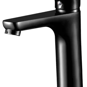 Rubinetto lavabo Sayro Black Cold Star Alto. Aquassent Nu Kopen