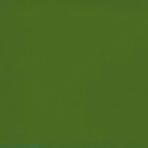 Verde Liscio Pezzo 15x20 0,90m2 30 pezzi / Scatola Ribesalbes Actieprijs