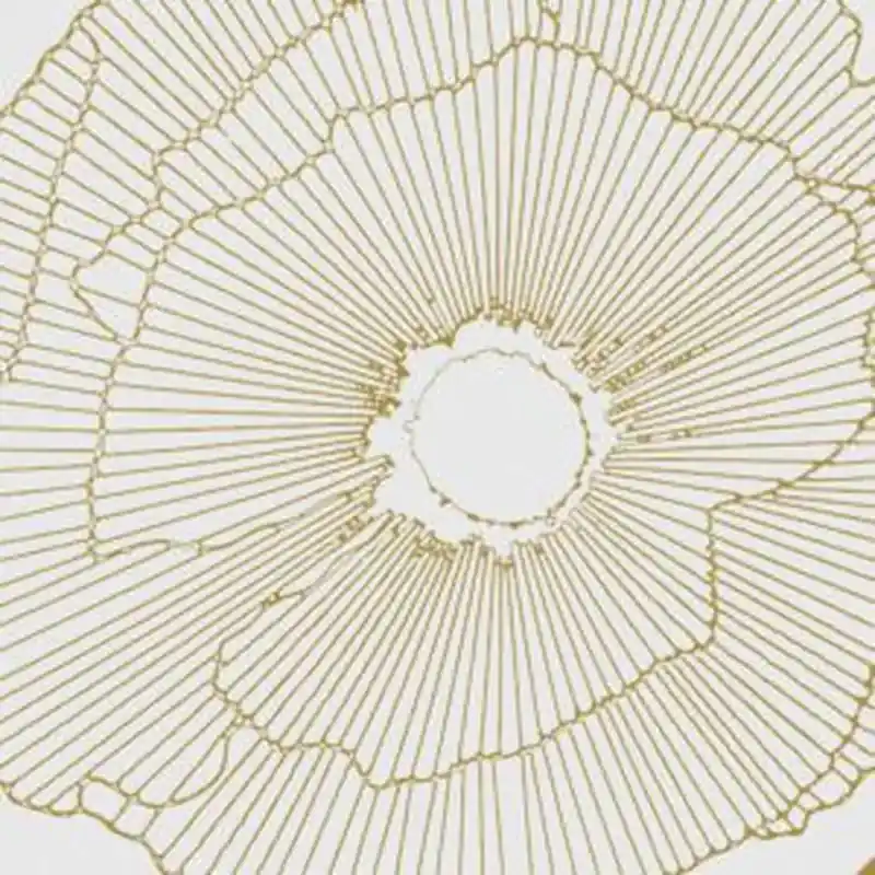 Finale Uitverkoop Scatola in porcellana Art-Deco White Spiritz Natural 29,75x29,75 13pz 1,15m2 Aparici
