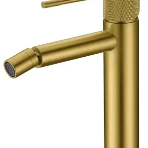Favoriet Rubinetto Imex Gold Bide Line spazzolato