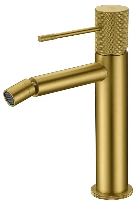 Favoriet Rubinetto Imex Gold Bide Line spazzolato