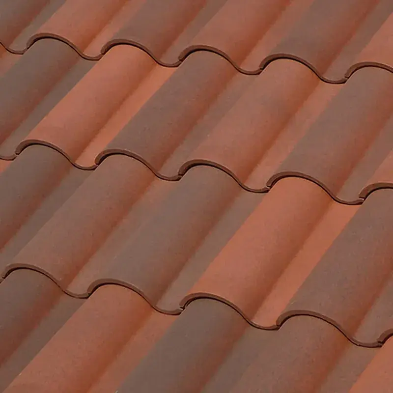 Tegola in ceramica TB-10 Tech Nature fosca Tejas Borja Alleen Vandaag