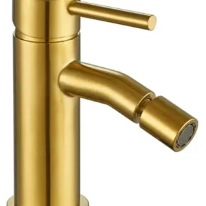 Come miscelatore per bidet Oro-Titaneo Aquassent Goedkoop