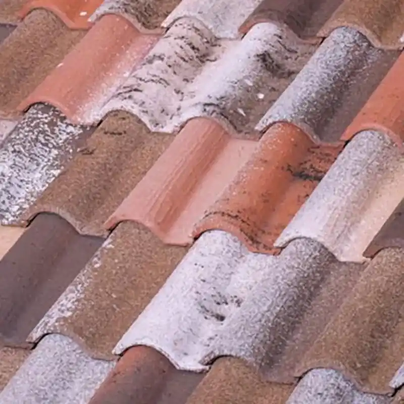 Pallet di piastrelle miste TB12 Earth Tiles Borja Premium