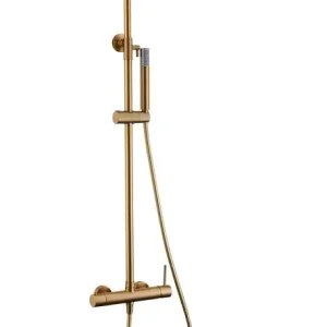 Asta doccia monocomando Monza oro spazzolato BDM039/OC Imex Lage Kosten
