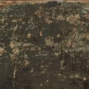 Porcellana Grunge Ruggine 44,63x89,96 cm Aparici Hoge Kwaliteit