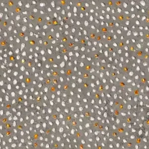 Populair Moon Ash Volcano Tile Box 29,75x89,46cm 1,59m2 Aparici