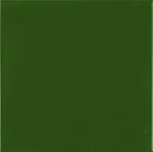 Fabrieksprijs Piastrella liscia verde bottiglia lucida 20x20 cm Ribesalbes